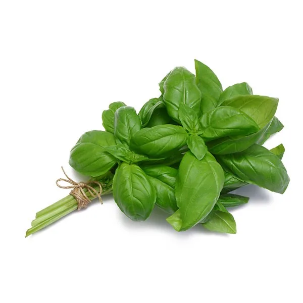 מארז בזיליקום