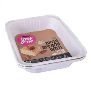 תבניות אלומיניום גדול R31 ר.שמאי