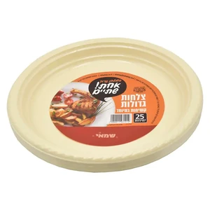 צלחות חד פעמי גדול צבעוני ר.שמאי