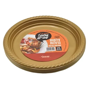 צלחות חד פעמי גדול צבעוני ר.שמאי