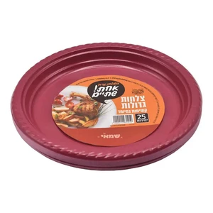 צלחות חד פעמי גדול צבעוני ר.שמאי