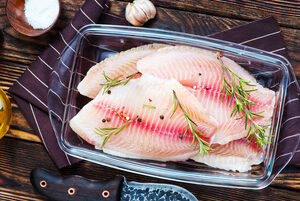 פילה אמנון (מושט) קפוא בודד עם עור