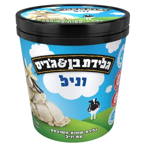 וניל  גלידת בן&גריס