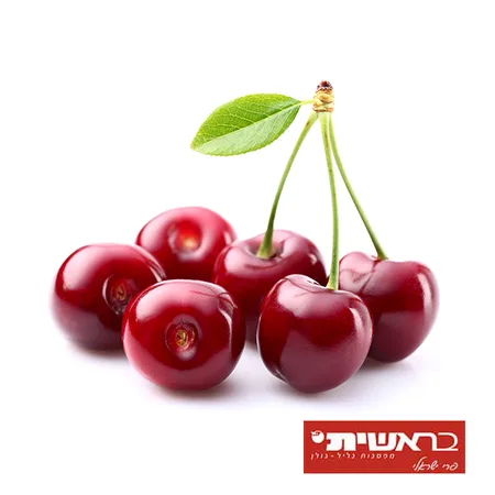 קופסת דובדבן