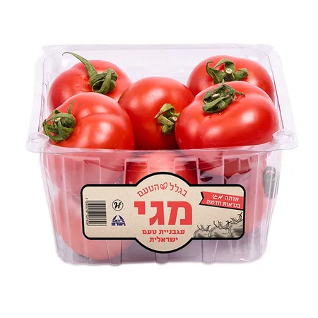 עגבניות מגי בקופסא